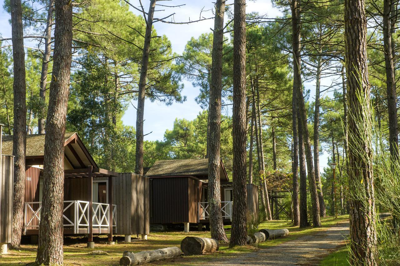 Hotel Vtf Les Oyats Sylvadoures Maubuisson Exteriér fotografie