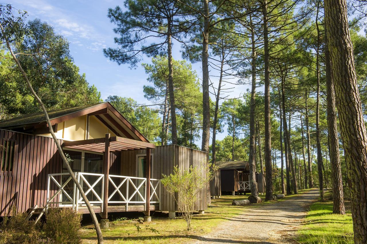 Hotel Vtf Les Oyats Sylvadoures Maubuisson Exteriér fotografie