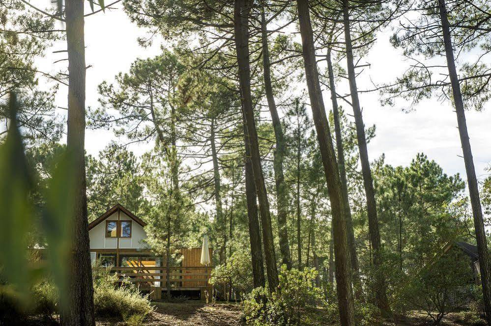Hotel Vtf Les Oyats Sylvadoures Maubuisson Exteriér fotografie
